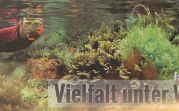 Hingucker – Wie eine Infotafel für den Schutz der Ostsee sorgen soll