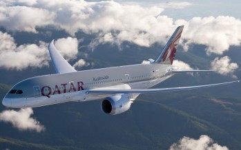 Mit Qatar Airways zum Walhai-Tauchen nach Dschibuti
