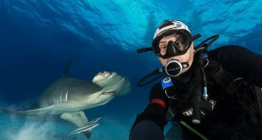 Unterwasserfotograf Michael Weberberger ist fasziniert von Haien