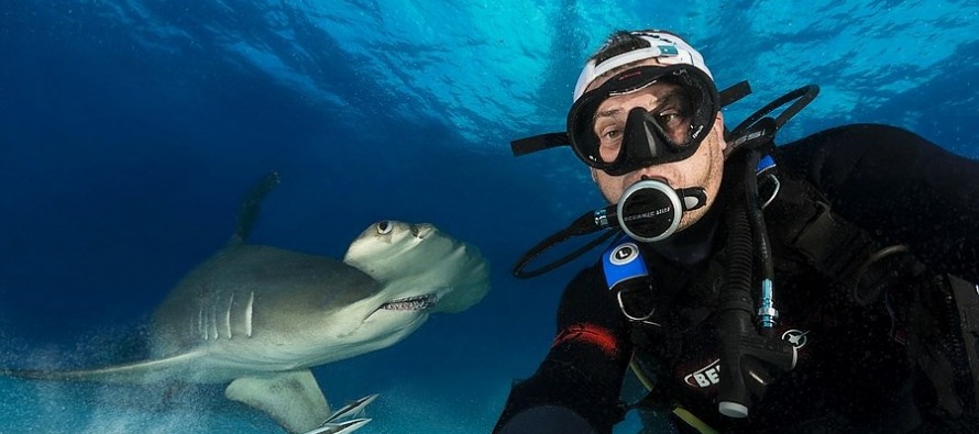 Unterwasserfotograf Michael Weberberger ist fasziniert von Haien