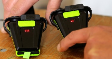 Nicht diskutieren, sondern testen – Buddy-Watcher verleiht gratis Geräte
