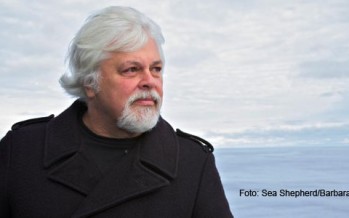 Warum Captain Paul Watson nicht „Everybody’s Darling“ sein möchte