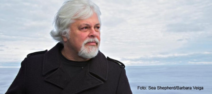 Warum Captain Paul Watson nicht „Everybody’s Darling“ sein möchte