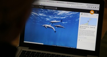 Tauchurlaub mit Google – Street View zeigt Brasiliens Unterwasserwelt