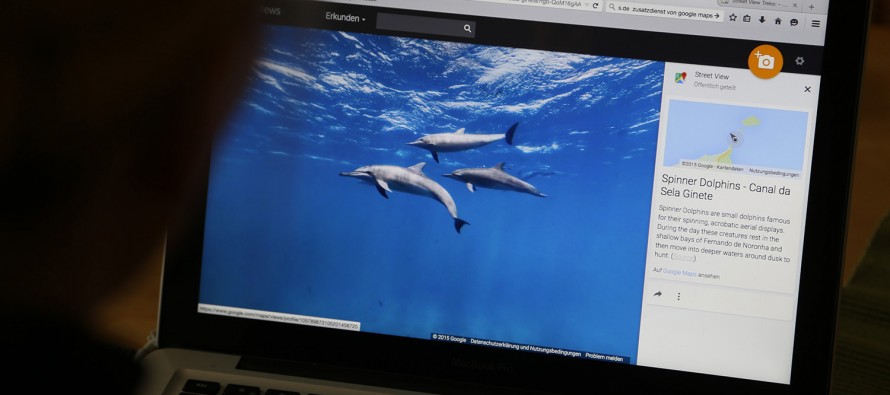 Tauchurlaub mit Google – Street View zeigt Brasiliens Unterwasserwelt