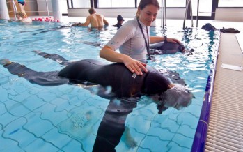 Freediving – Aida Deutschland stellt neuen Basic-Instructor-Kurs vor