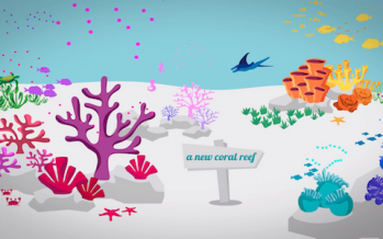 Wie ein Videoclip zum Schutz der Korallenriffe beitragen kann