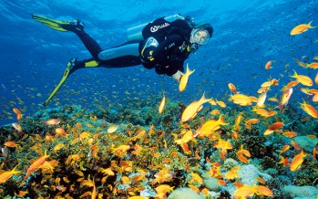 Ägypten – Die „Dive Challenge“ zieht 2015 von Dahab nach Marsa Alam