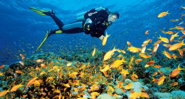 Ägypten – Die „Dive Challenge“ zieht 2015 von Dahab nach Marsa Alam