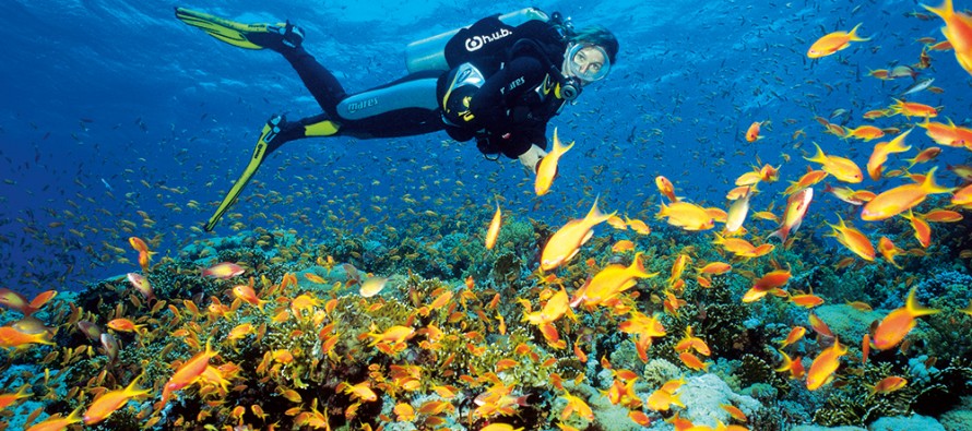 Ägypten – Die „Dive Challenge“ zieht 2015 von Dahab nach Marsa Alam