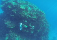 Fotostrecke - Mit dem „Subwing“ wie ein Delfin durchs Wasser tauchen