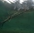 Fotostrecke - Der Samaranger See und der Fernsteinsee in Tirol