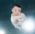 Fotostrecke mit Baby-Bildern - So schwimmt der Taucher-Nachwuchs