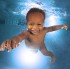 Fotostrecke mit Baby-Bildern - So schwimmt der Taucher-Nachwuchs