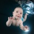 Fotostrecke mit Baby-Bildern - So schwimmt der Taucher-Nachwuchs