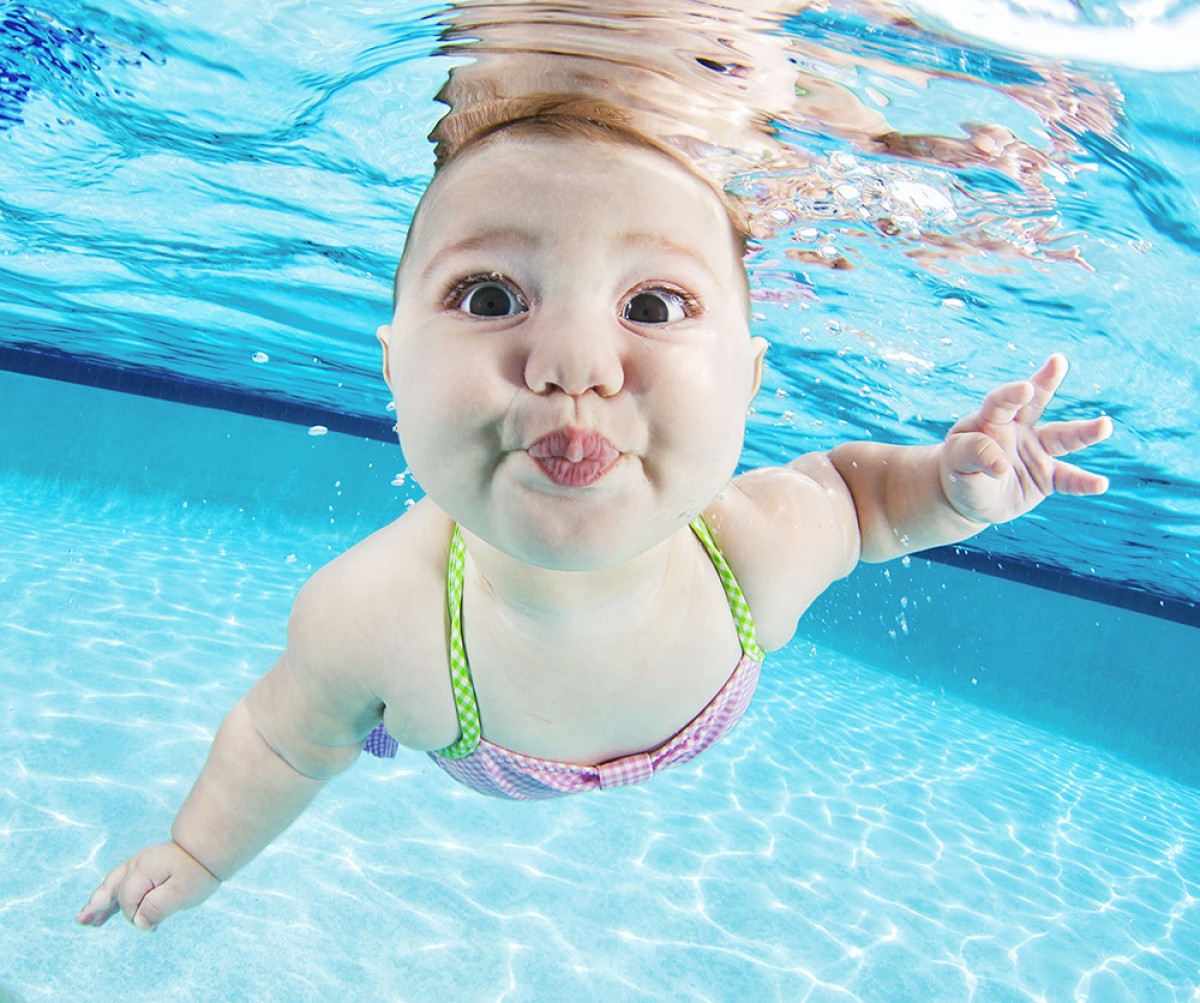 Fotostrecke mit Baby-Bildern – So schwimmt der Taucher-Nachwuchs