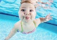 Fotostrecke mit Baby-Bildern - So schwimmt der Taucher-Nachwuchs
