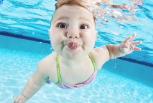 Fotostrecke mit Baby-Bildern – So schwimmt der Taucher-Nachwuchs