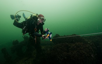 Taucher werden zu Archäologen – Seminar auf dem Meeresgrund