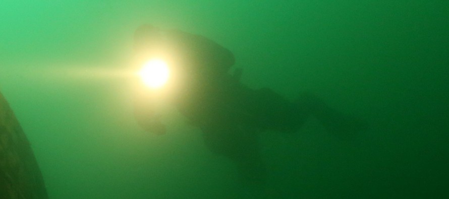 Fischer haben laut Medienbericht in der Ostsee einen „Fischmann“ entdeckt