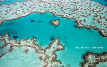 Schutzzonen am Great Barrier Reef haben positive Effekte