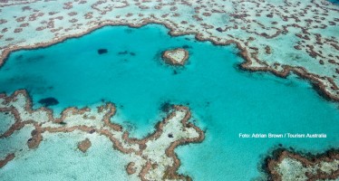 Schutzzonen am Great Barrier Reef haben positive Effekte