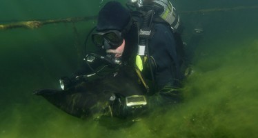 „Natura 2000“ – Taucher-Projekte im Finale bei EU-Umweltschutz-Preis