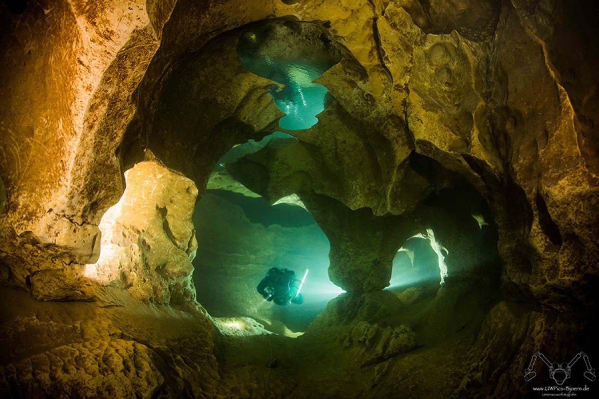 Fotogalerie – Björn Dorstewitz zeigt seine Unterwasser-Bilder