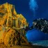 Fotogalerie - Björn Dorstewitz zeigt seine Unterwasser-Bilder