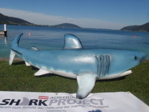 "Sparky" auf dem Trockenen. Bald wird er im Freibacher Stausee eine Attraktion für Taucher sein. (Fotos: Sharkproject Austria)