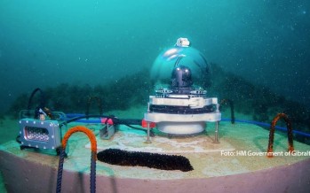 Neue Webcam – Einblicke in die Unterwasserwelt von Gibraltar