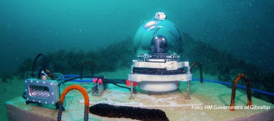 Neue Webcam – Einblicke in die Unterwasserwelt von Gibraltar
