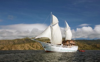 Warane und Meer – Komodo erkunden mit dem Segelschiff „MV Pindito“