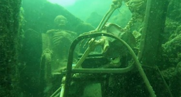 Schnorchler in den USA bekommt den Schrecken seines Lebens