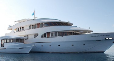 Tauchsafari – Mit WeDive und der „Carpe Diem“ die Malediven entdecken