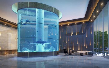 Luxus-Bauprojekt mit Haifischbecken sorgt für Wut bei Tierfreunden