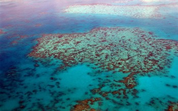 Greenpeace will Great Barrier Reef vor Kohleindustrie schützen