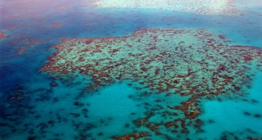 Greenpeace will Great Barrier Reef vor Kohleindustrie schützen