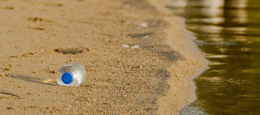 Immer mehr Plastikmüll in den Meeren – Drei Gefahren im Überblick