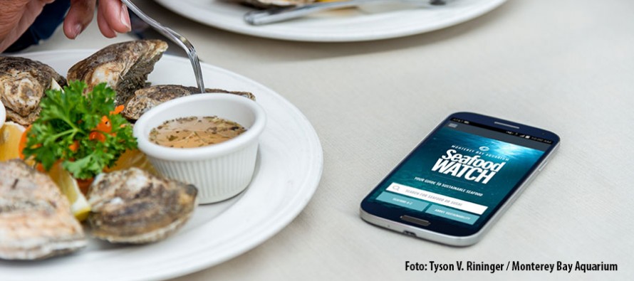 „Seafood Watch“-App – Welchen Fisch kann man noch bedenkenlos essen?