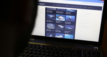 Sharkproject bittet Unterwasserfotografen um Hai-Kalender-Bilder