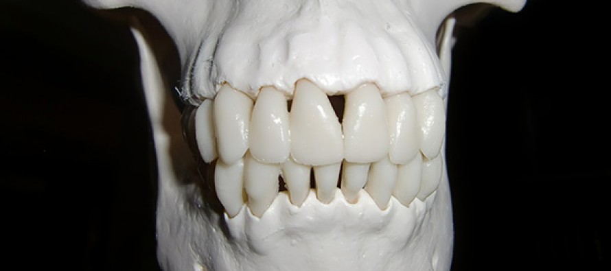 Zahnärzte wissen oft zu wenig über Barotraumata bei Tauchern