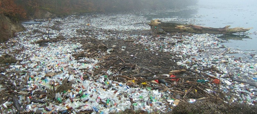Wissenschaftler untersuchen giftiges Mikroplastik am Meeresboden