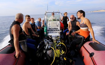 Taucher erleben an der Costa Blanca „das Meer der kleinen Dinge“