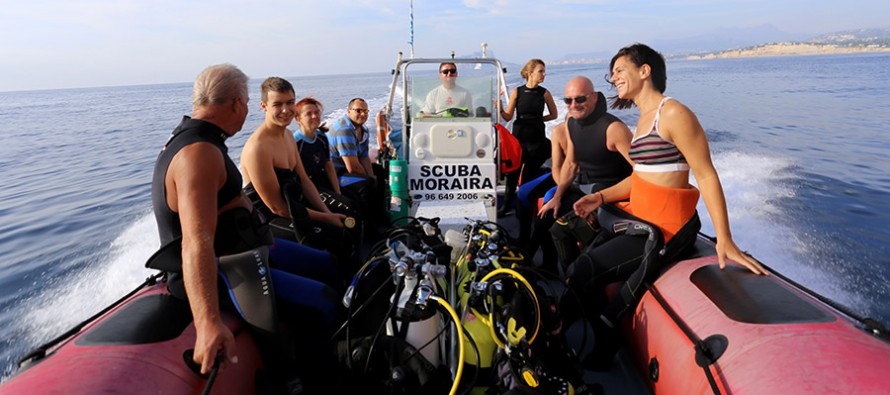 Taucher erleben an der Costa Blanca „das Meer der kleinen Dinge“