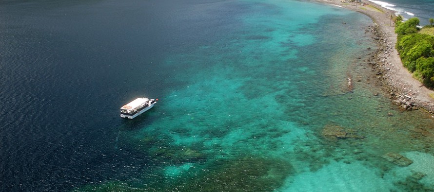 Auf der Karibik-Insel Dominica startet erneut das Dive-Fest für Taucher