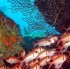 Fotogalerie - Eindrücke von der Karibik-Insel Dominica