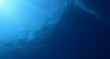 Die Ozeane stehen laut Geomar vor „überraschenden Veränderungen“