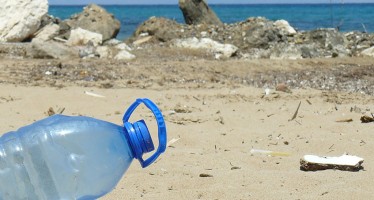 OceanCare will Meerestiere vor tödlichem Plastikmüll schützen