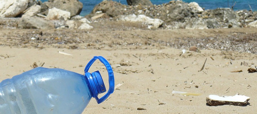 OceanCare will Meerestiere vor tödlichem Plastikmüll schützen